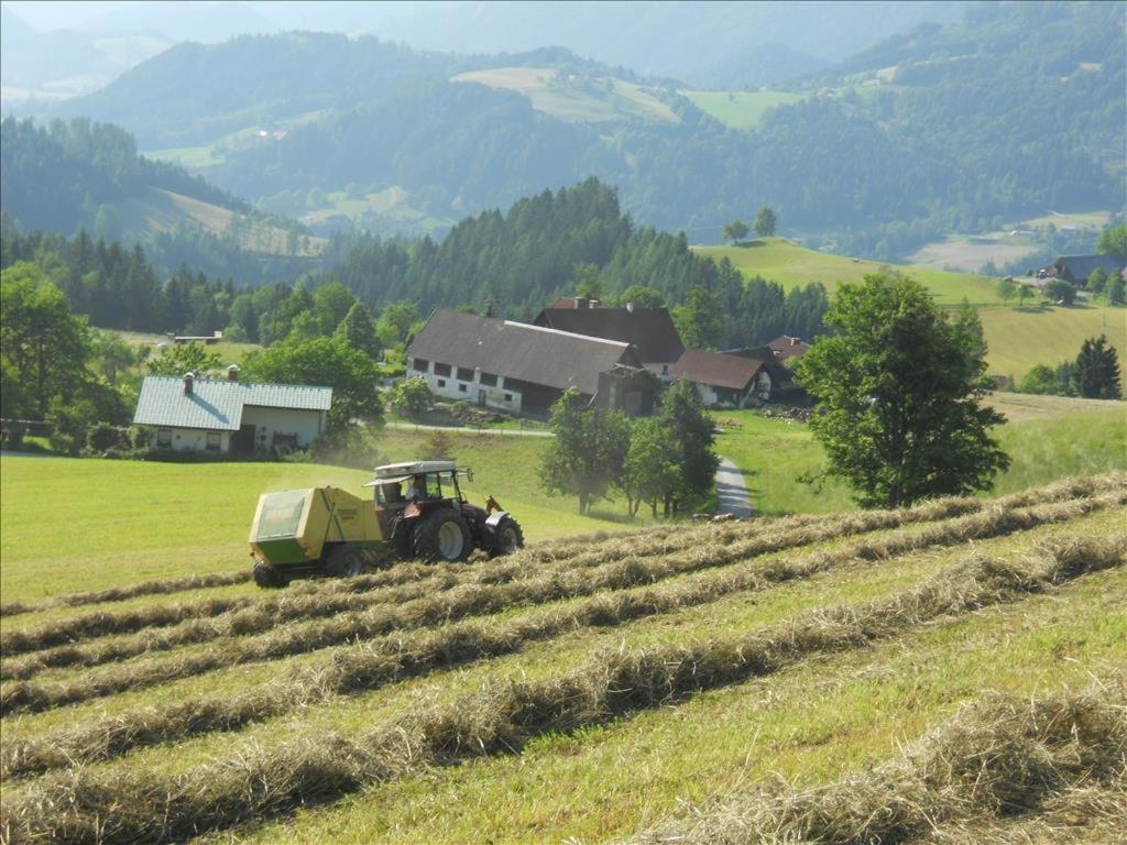 Familienbauernhof Imitz, Ferienwohnung ชปิทัล อัม เพิร์ม ภายนอก รูปภาพ