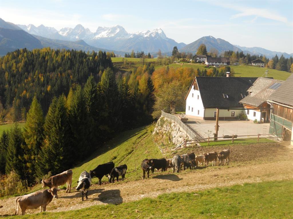 Familienbauernhof Imitz, Ferienwohnung ชปิทัล อัม เพิร์ม ภายนอก รูปภาพ