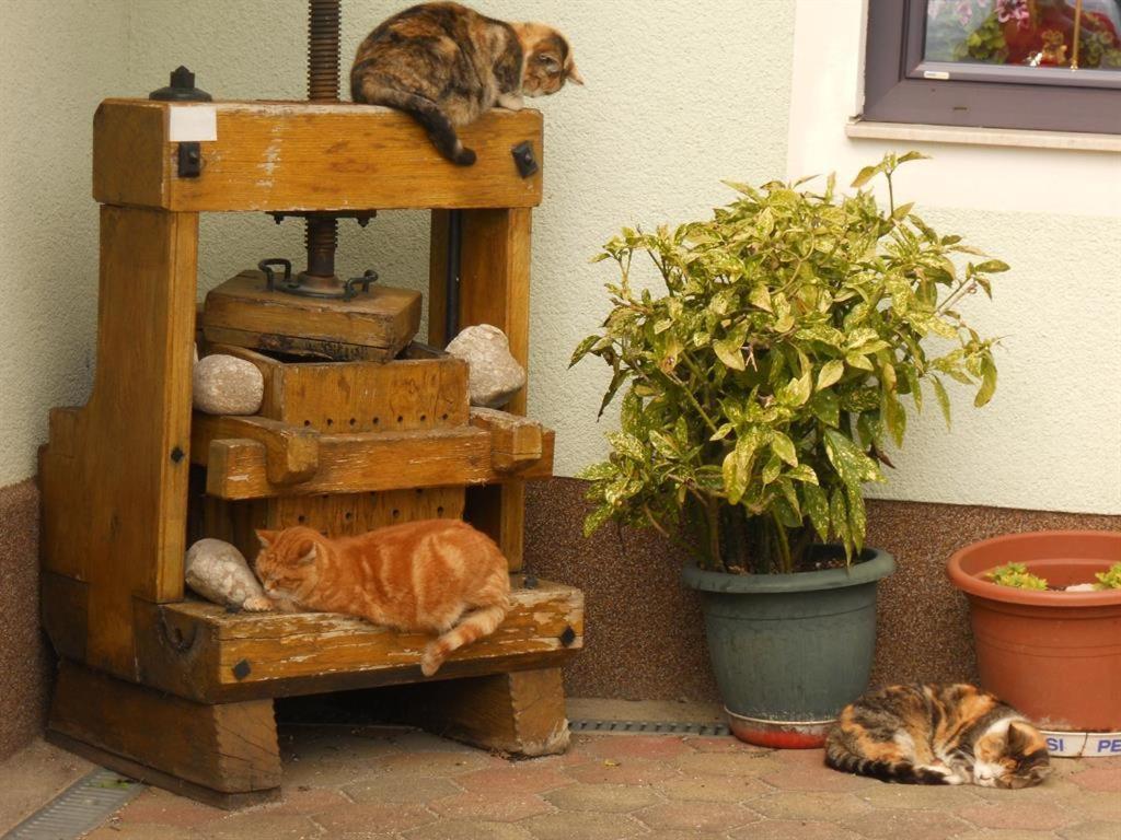 Familienbauernhof Imitz, Ferienwohnung ชปิทัล อัม เพิร์ม ภายนอก รูปภาพ