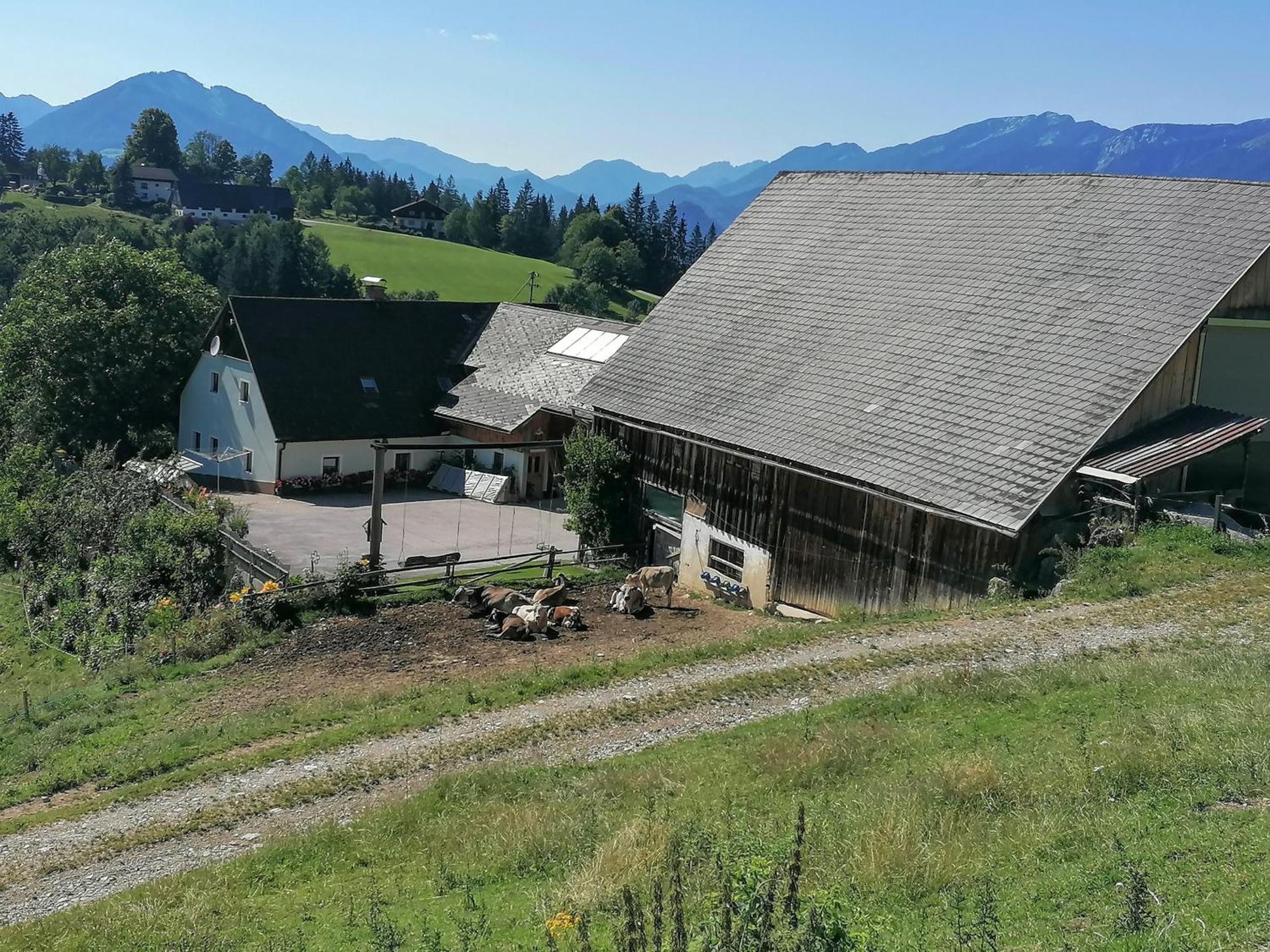 Familienbauernhof Imitz, Ferienwohnung ชปิทัล อัม เพิร์ม ภายนอก รูปภาพ